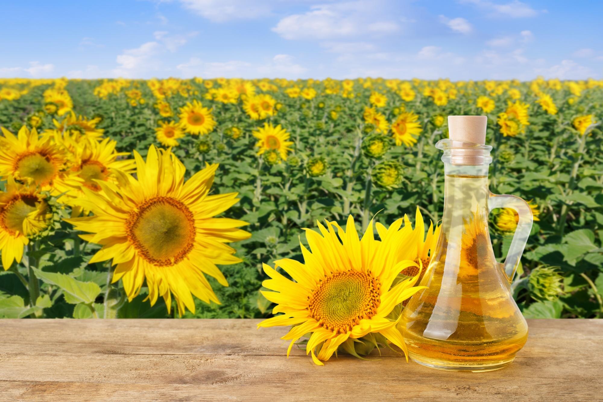 صورة تعبر عن حلول التطوير الخلفي